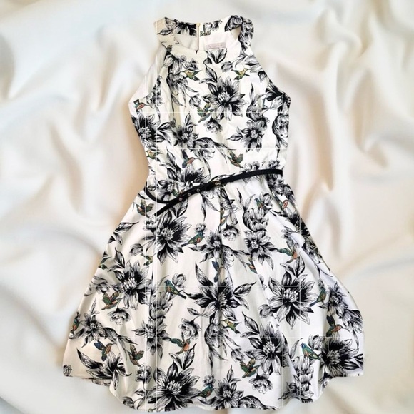 dressbarn Dresses & Skirts - NWT DB Established 1962 Dress barn HUMMINGBIRD A Line “Marilyn Monroe “Dress SZ8